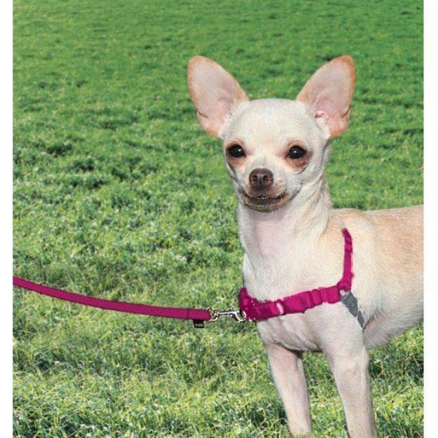 Picture of PetSafe Easy Walk Harness Pembe Köpek Göğüs Tasması XSmall 30-40 cm