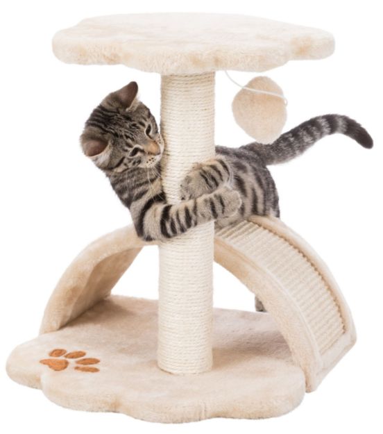 Picture of Trixie Yavru Kedi Tırmalama ve Oyun Tahtası 43 Cm